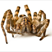 Steam Community Avatar Steam Community Avatar