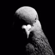 Steam Community Avatar Steam Community Avatar