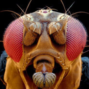 Steam Community Avatar Steam Community Avatar